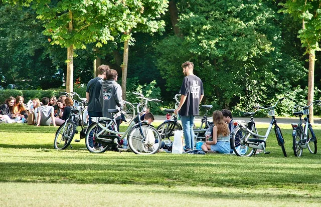 Data Gathering - Parks of Oak Park