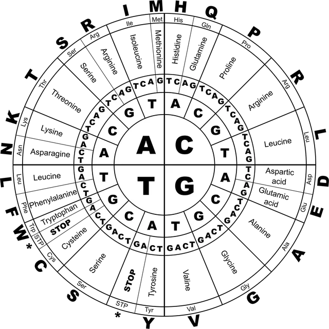 Chicago Council on Science and Technology